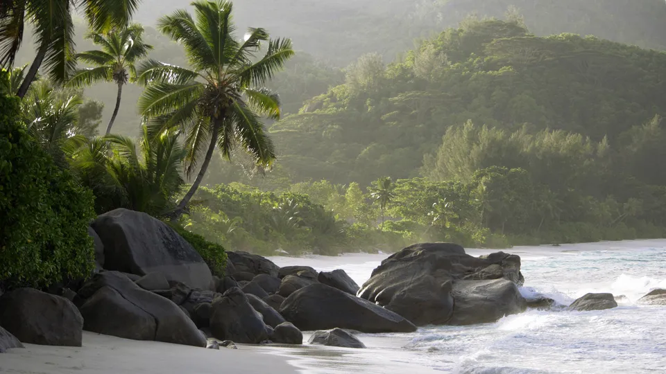 A tropical beach scene with large dark rocks in the foreground, palm trees, and lush green hills in the background.