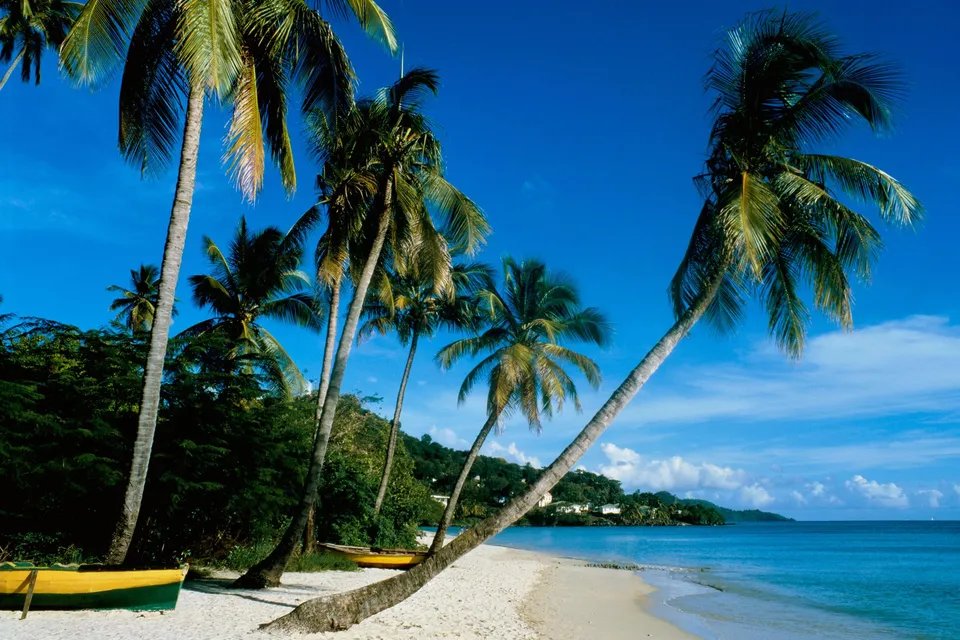 A beautiful tropical beach with palm trees, white sand, and clear blue ocean under a bright sky.