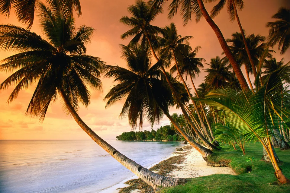 Palm trees line a sandy beach with the ocean and a colorful sunset sky in the background.