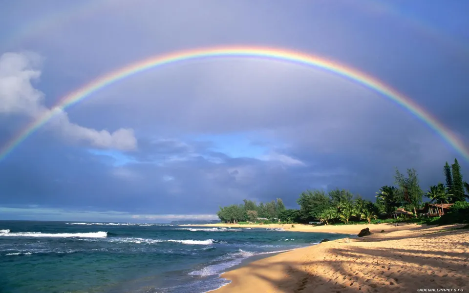 A vibrant rainbow arcs across a cloudy sky over a sandy beach with palm trees and the ocean.