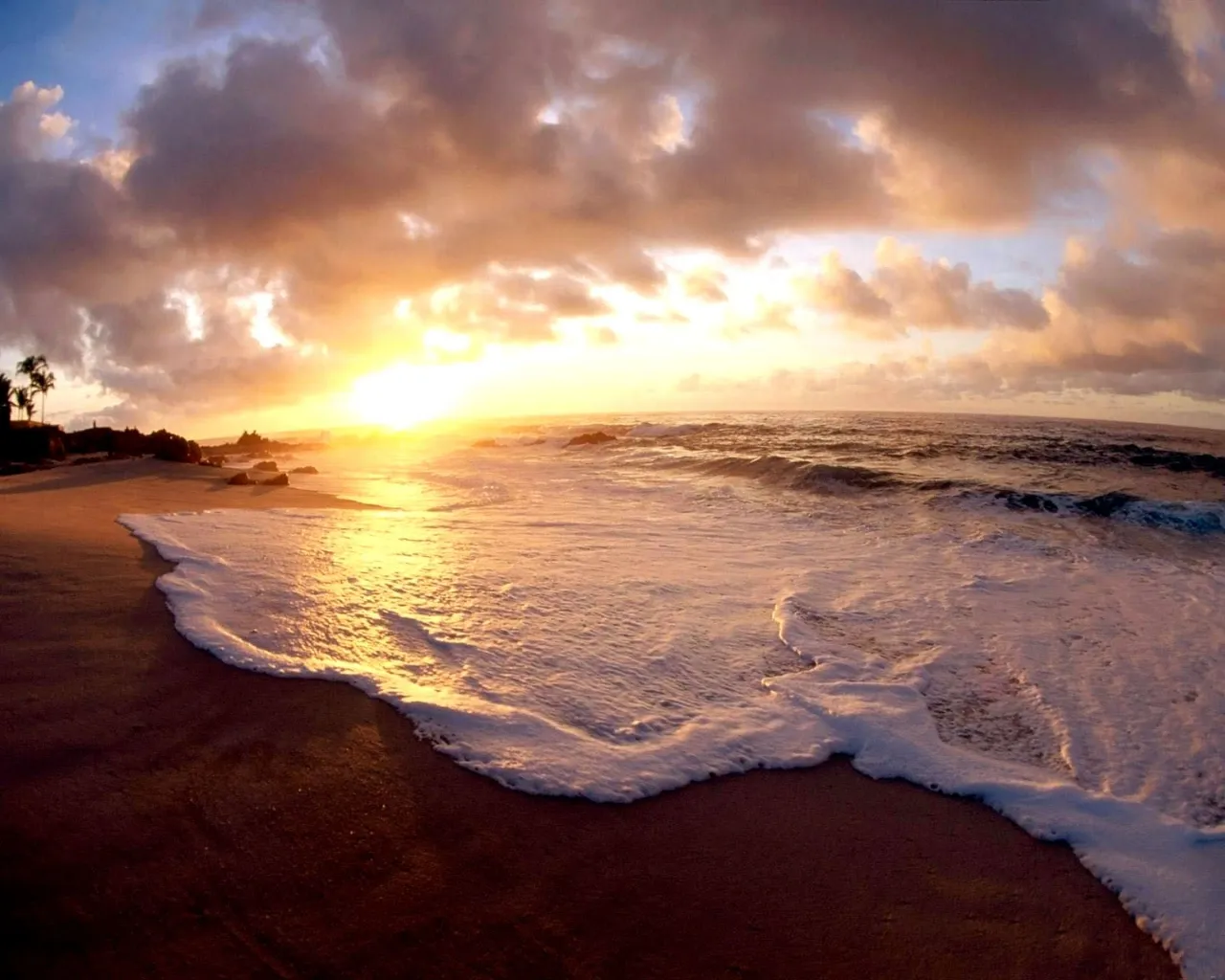 A wide-angle view of a tropical beach at sunset with waves crashing on the shore and golden light illuminating the sky.