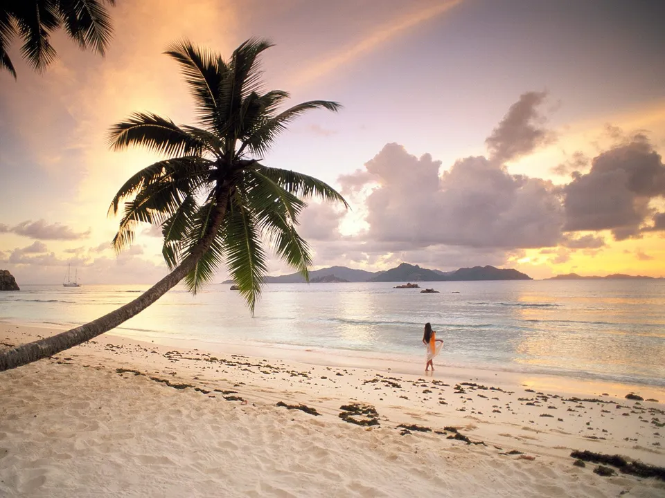 A woman walks on a sandy beach with a palm tree in the foreground and a sunset over the ocean.