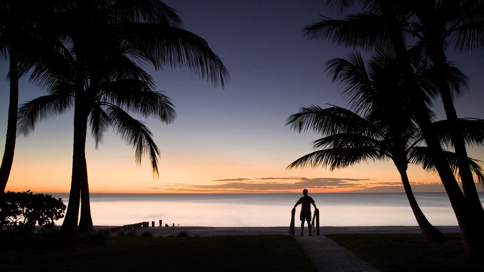 A man stands silhouetted against a colorful sunset on a tropical beach, framed by palm trees.