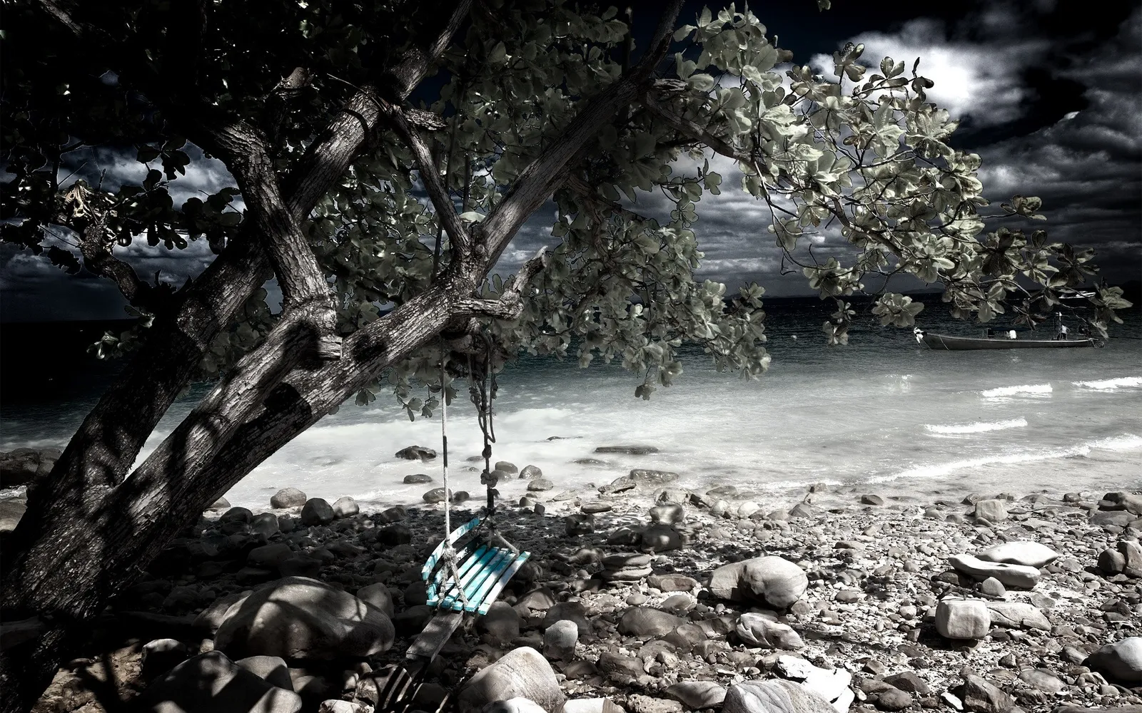 A weathered tree with a swing hangs over a rocky beach with the ocean and a boat in the background.
