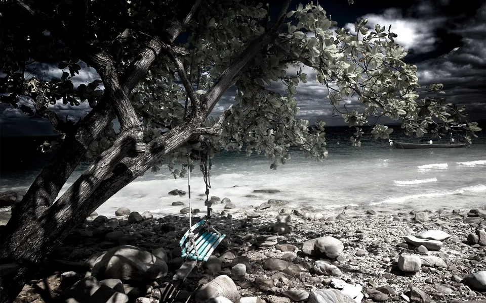 A weathered tree with a swing hangs over a rocky beach with the ocean and a boat in the background.
