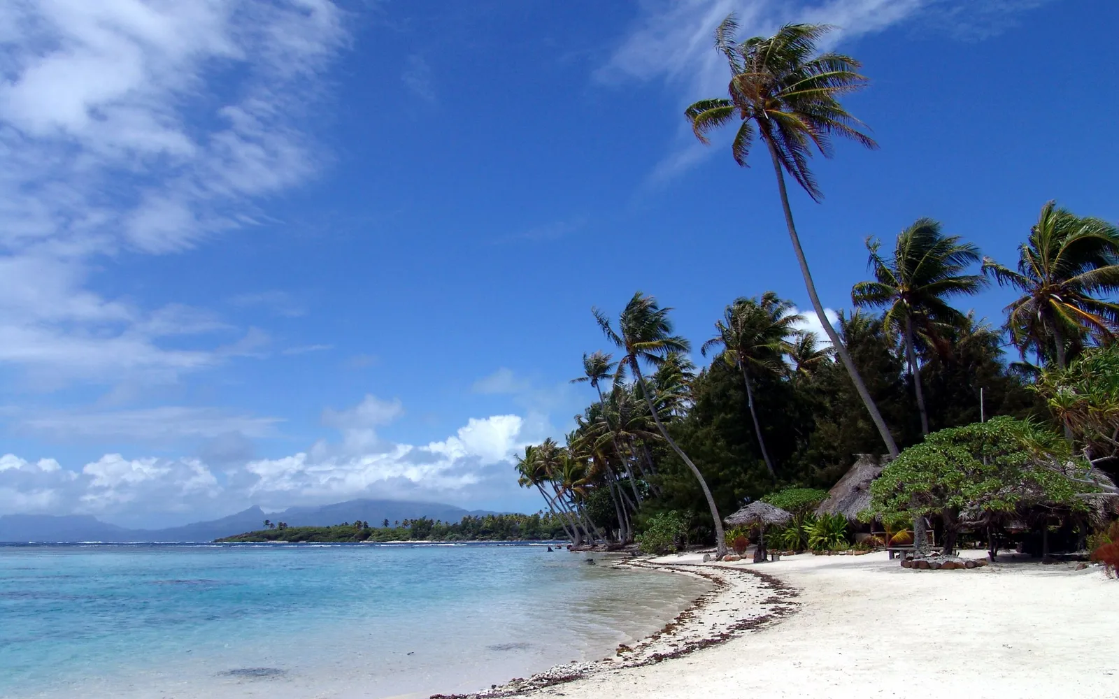 A serene tropical beach with palm trees, a thatched hut, and calm turquoise water under a blue sky with clouds.
