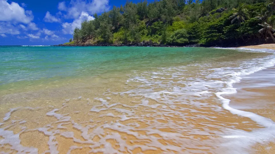 A gentle wave washes over a sandy beach with turquoise water and lush green trees in the background.