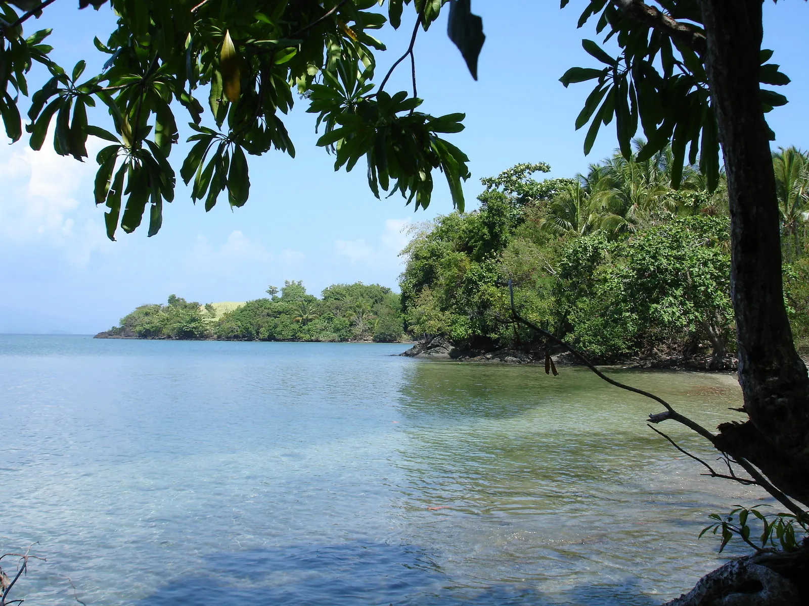 A view of a tropical coastline with clear blue water, lush green trees, and a bright blue sky.