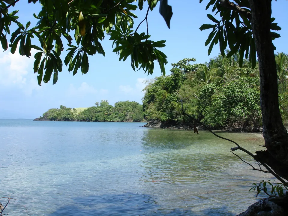 A view of a tropical coastline with clear blue water, lush green trees, and a bright blue sky.