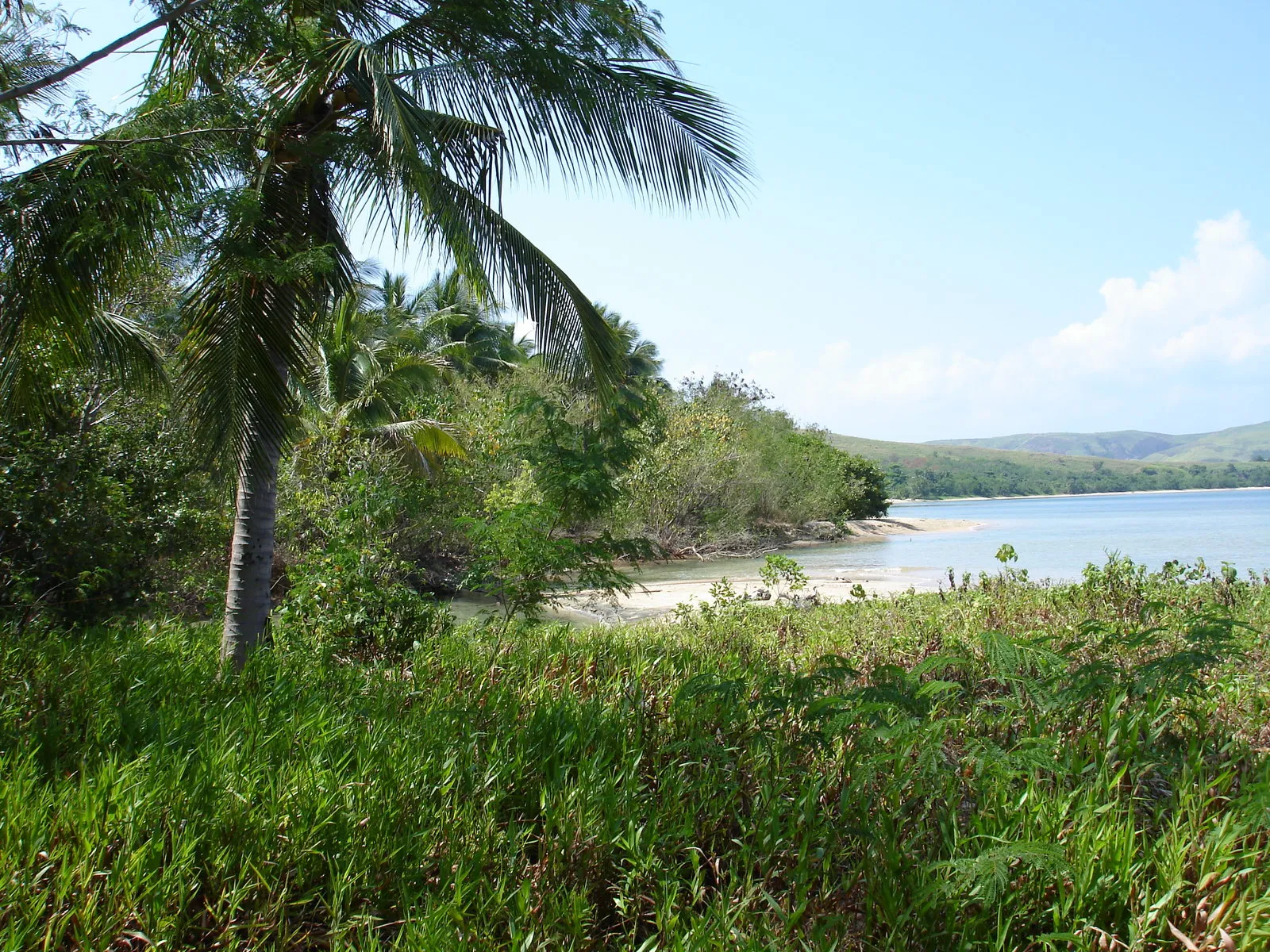 A tropical coastline with lush green vegetation, a sandy beach, calm blue water, and distant rolling hills under a clear sky.