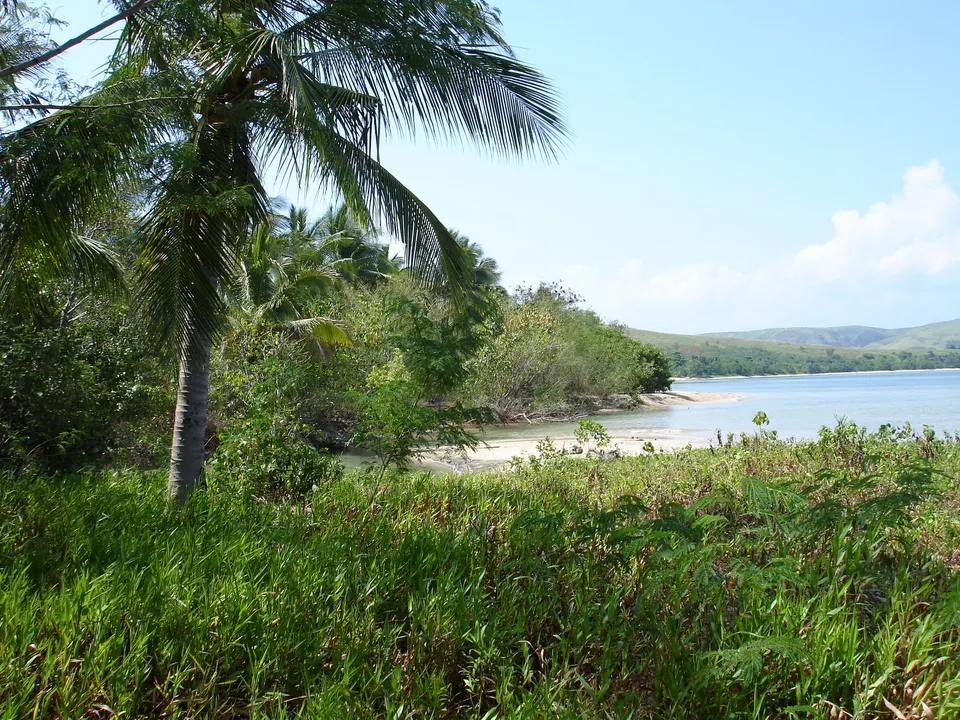 A tropical coastline with lush green vegetation, a sandy beach, calm blue water, and distant rolling hills under a clear sky.