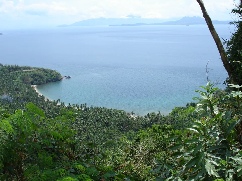 A view from a high vantage point overlooking a tropical coastline with lush green trees and a calm blue bay.
