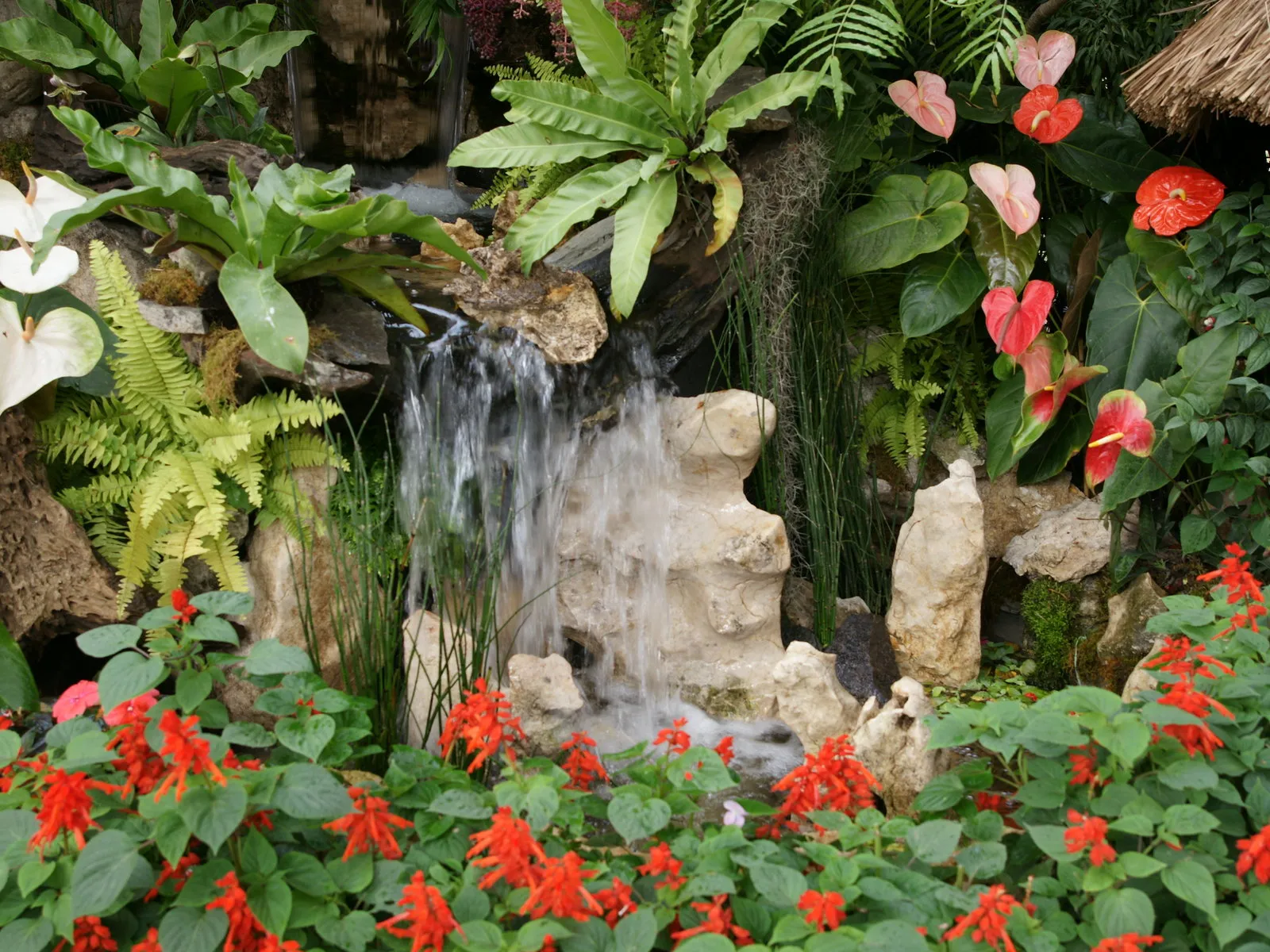 A small waterfall cascades over rocks in a lush garden filled with tropical plants and red flowers.