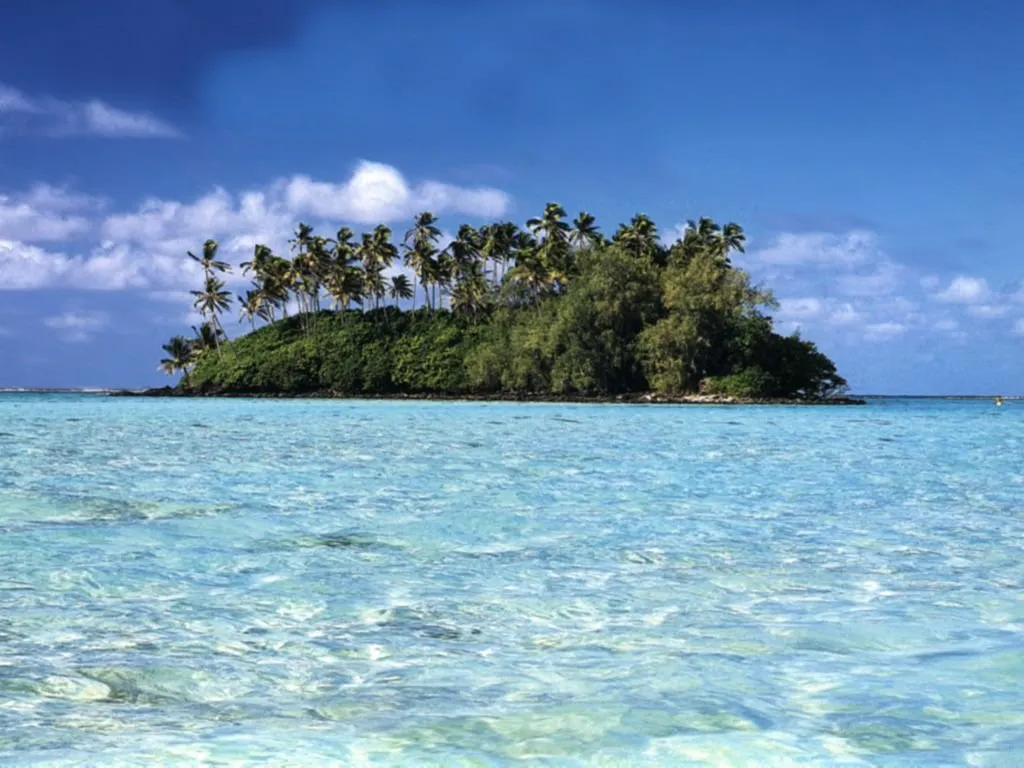 A small, lush tropical island covered in palm trees and dense vegetation, surrounded by crystal clear turquoise water.