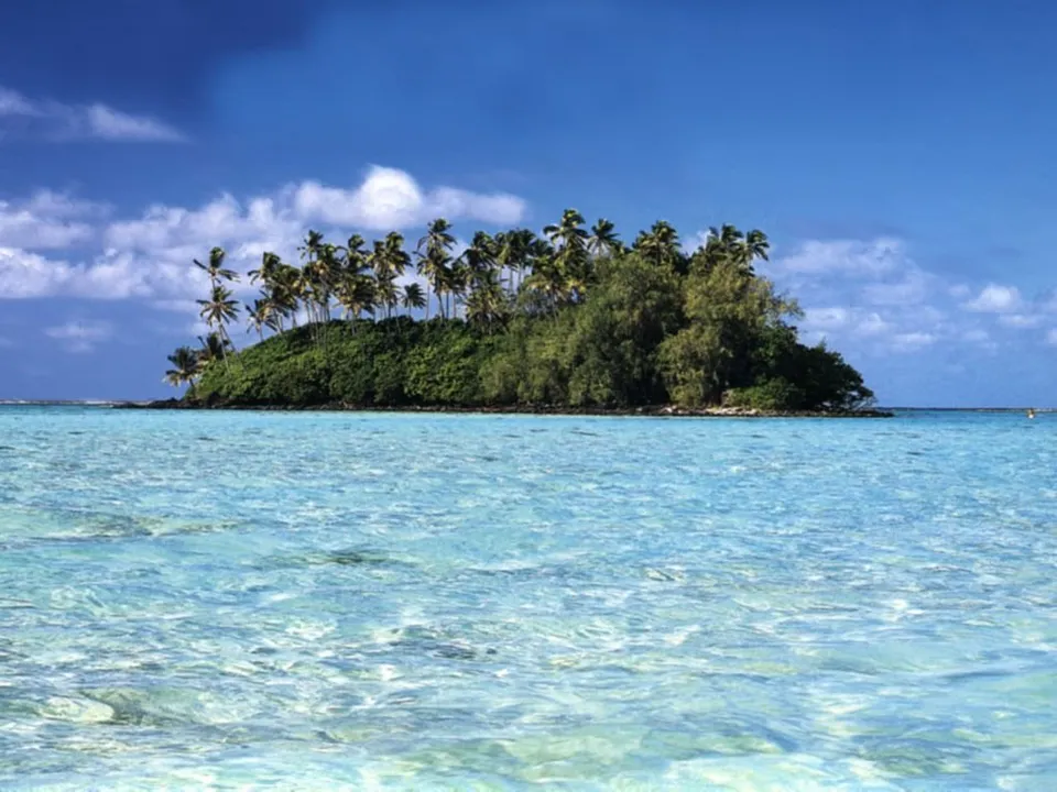 A small, lush tropical island covered in palm trees and dense vegetation, surrounded by crystal clear turquoise water.