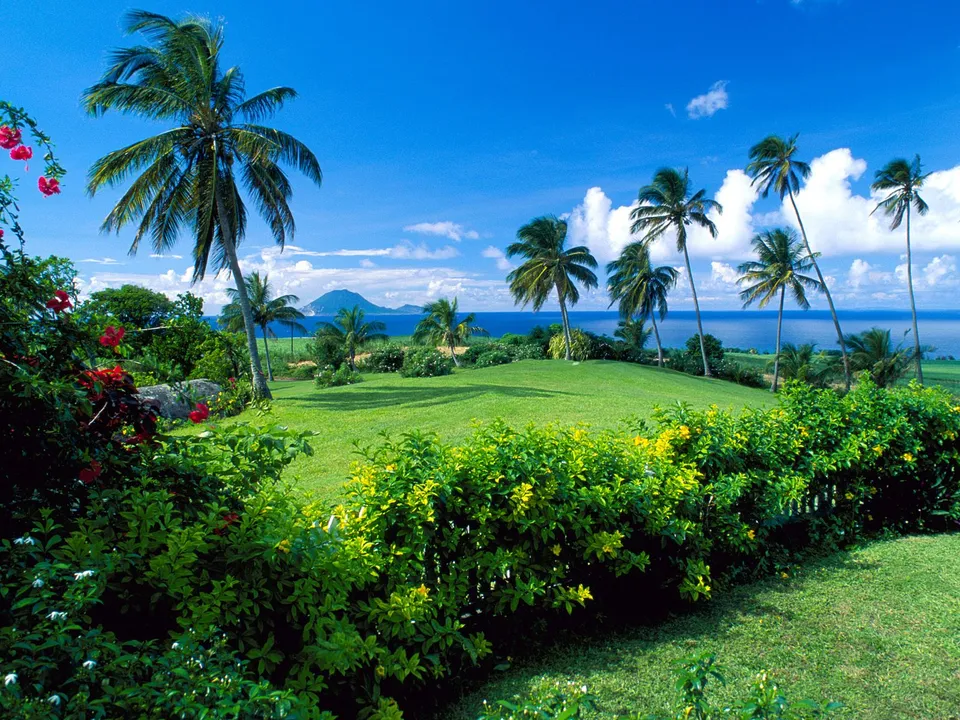 A vibrant tropical landscape with palm trees, green grass, and a clear blue ocean under a bright sky.