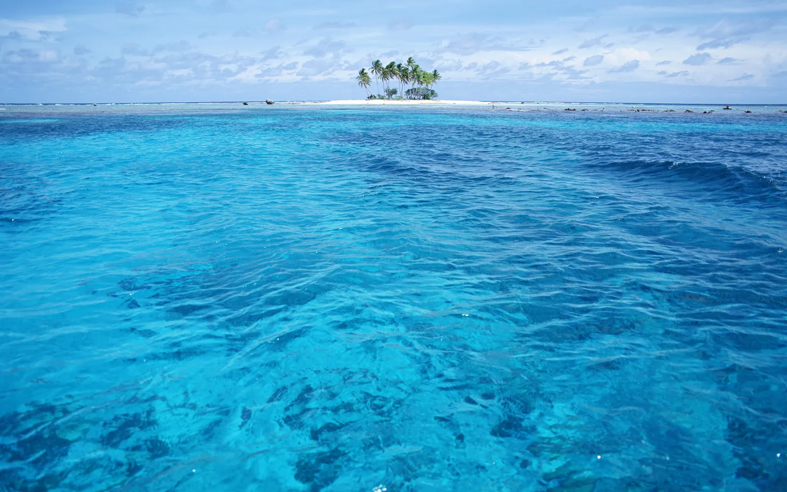 A small, lush island with palm trees sits on the horizon, surrounded by crystal clear turquoise ocean water.