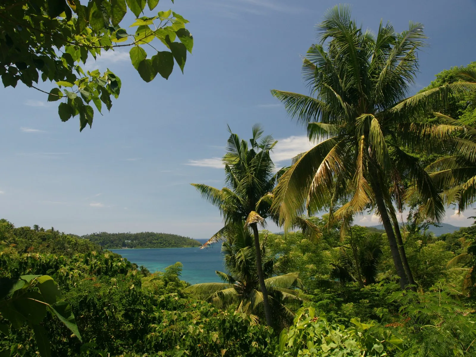 View of a tropical island with lush green vegetation, palm trees, and blue ocean under a clear sky.