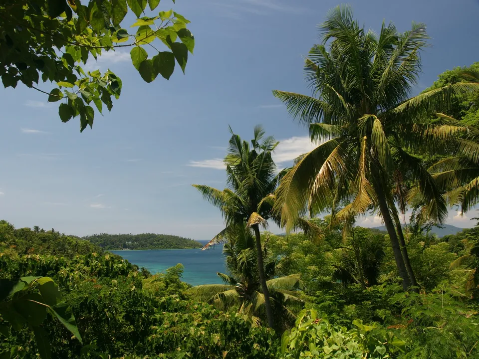 View of a tropical island with lush green vegetation, palm trees, and blue ocean under a clear sky.