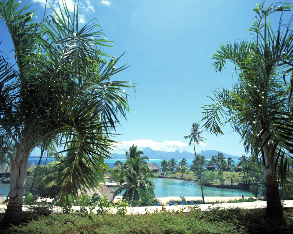 View of a tropical resort lagoon with palm trees in the foreground and mountains in the distance under a clear blue sky.