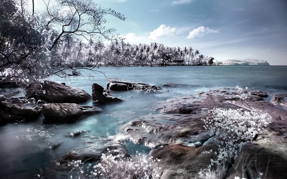 A rocky shoreline with palm trees in the background and calm blue water.
