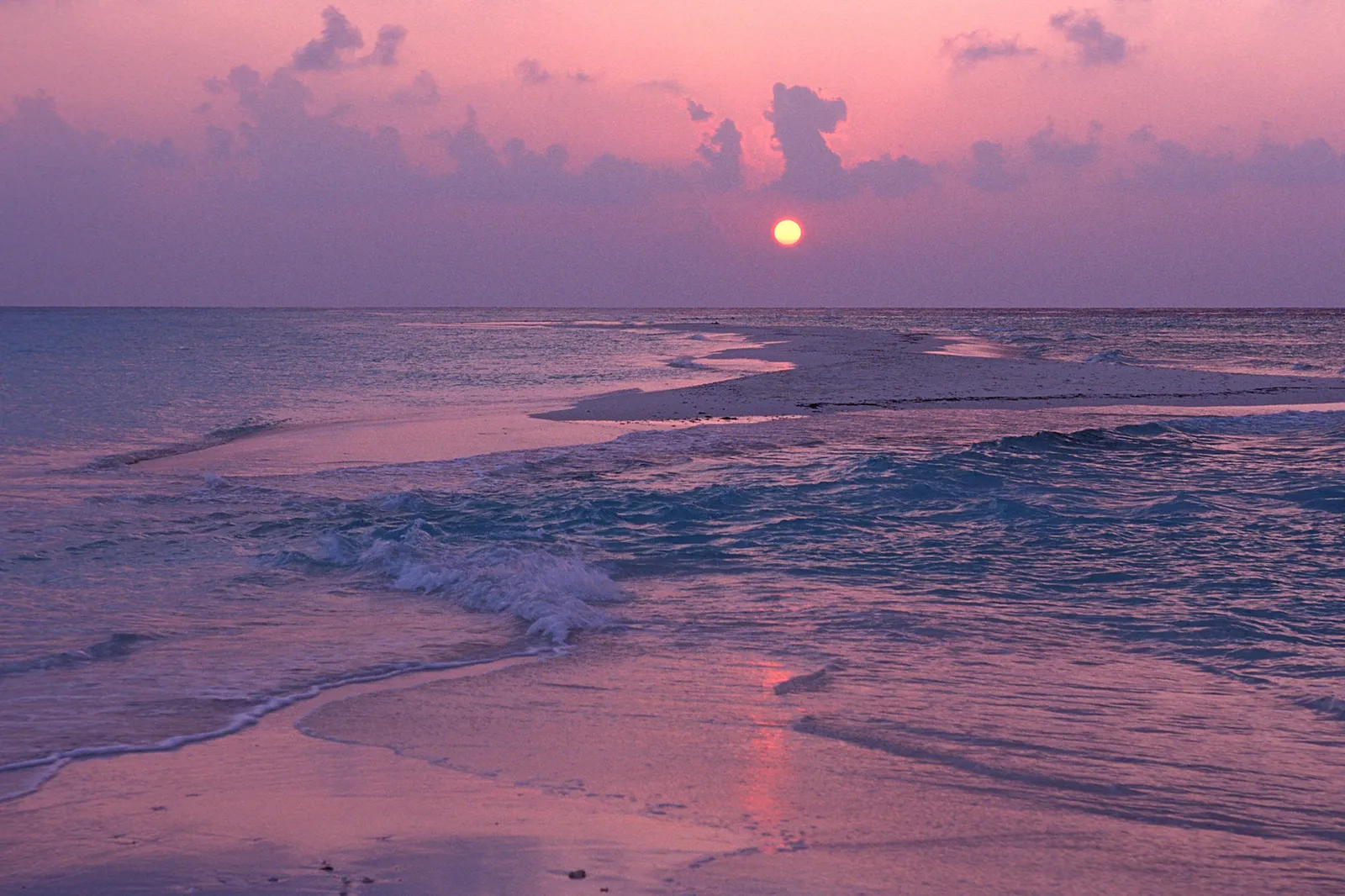 A vibrant sunset casts pink and purple hues over a tranquil ocean and sandy beach.
