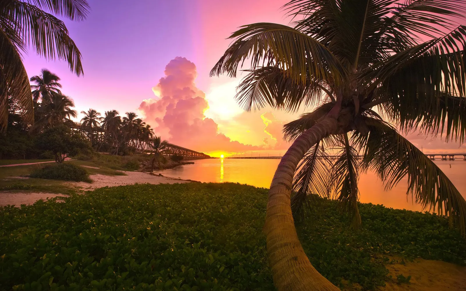 A vibrant sunset with purple and orange hues over a calm ocean, with a bridge and palm trees in silhouette.