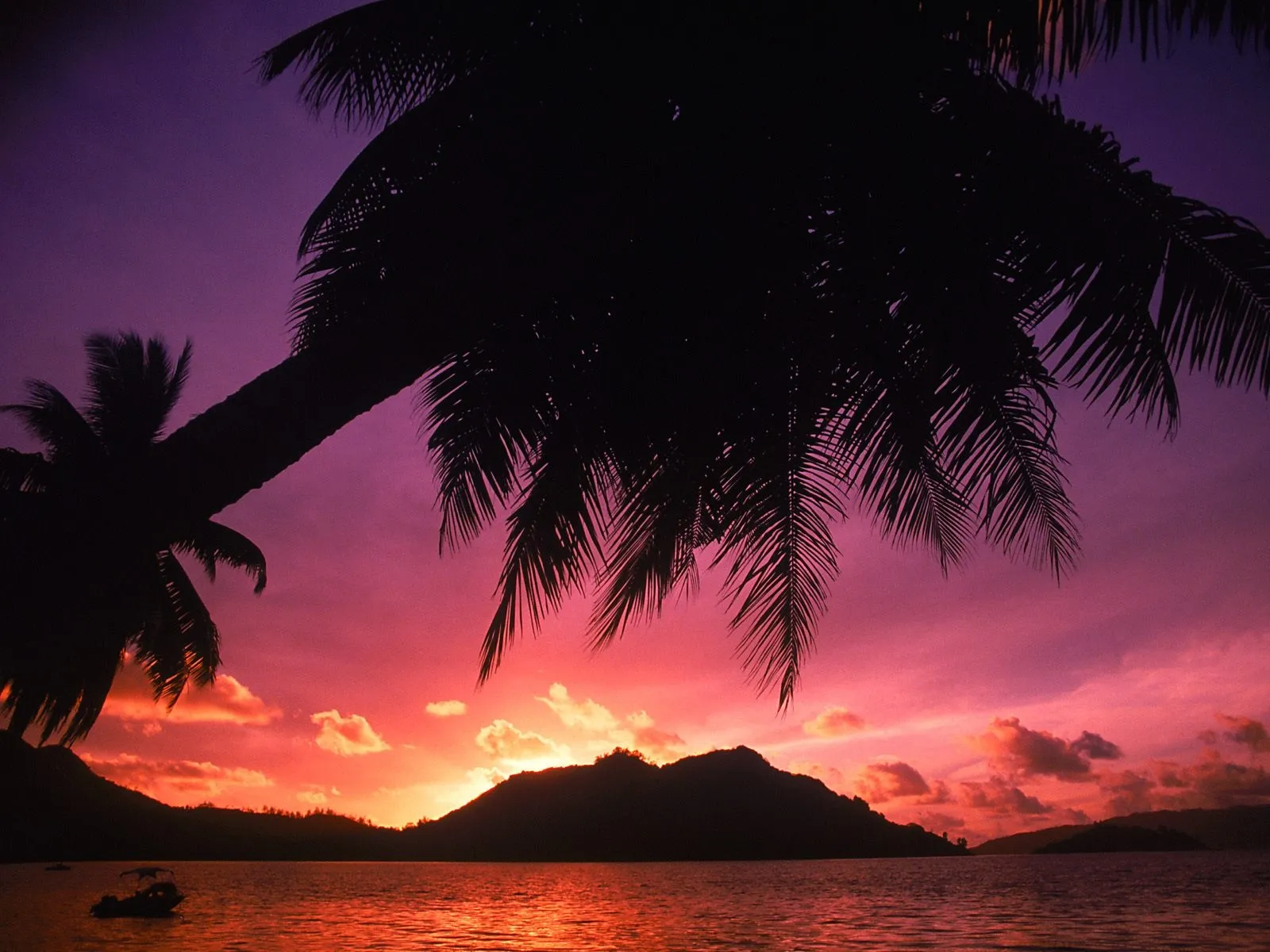 Silhouetted palm trees frame a vibrant sunset over a calm ocean and distant islands.