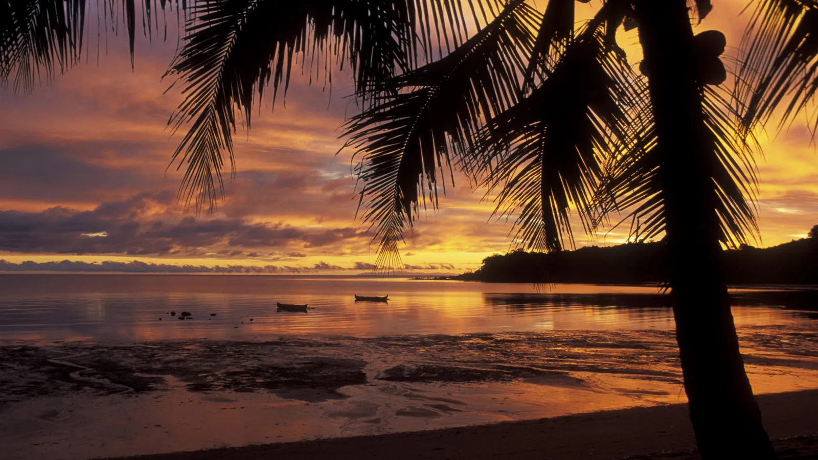 Silhouetted palm trees frame a vibrant sunset over a calm ocean with small boats.