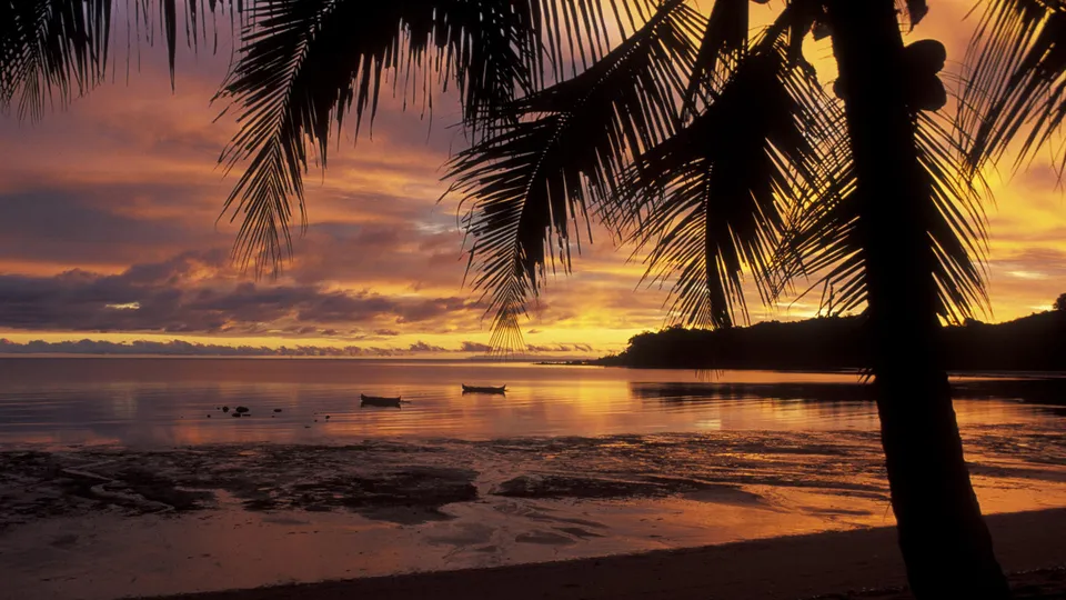 Silhouetted palm trees frame a vibrant sunset over a calm ocean with small boats.