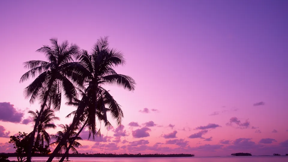 Silhouetted palm trees against a vibrant purple and pink sky at sunset over a calm ocean.