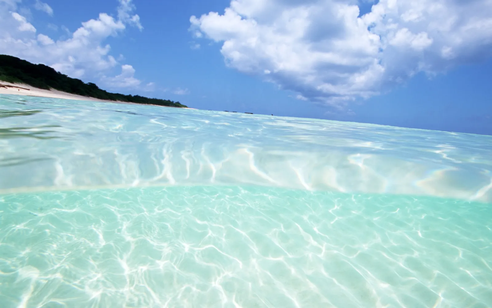 Split view of clear turquoise water with sunlight patterns and a sandy beach with green foliage under a blue sky with clouds.