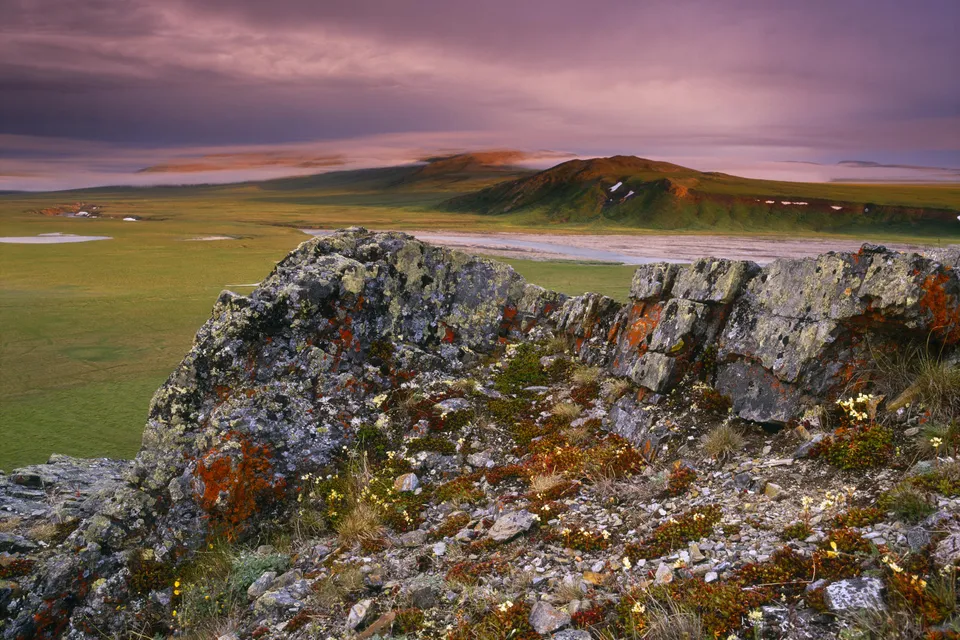 A rocky foreground overlooks a vast green tundra landscape with distant hills under a purple and pink sky.
