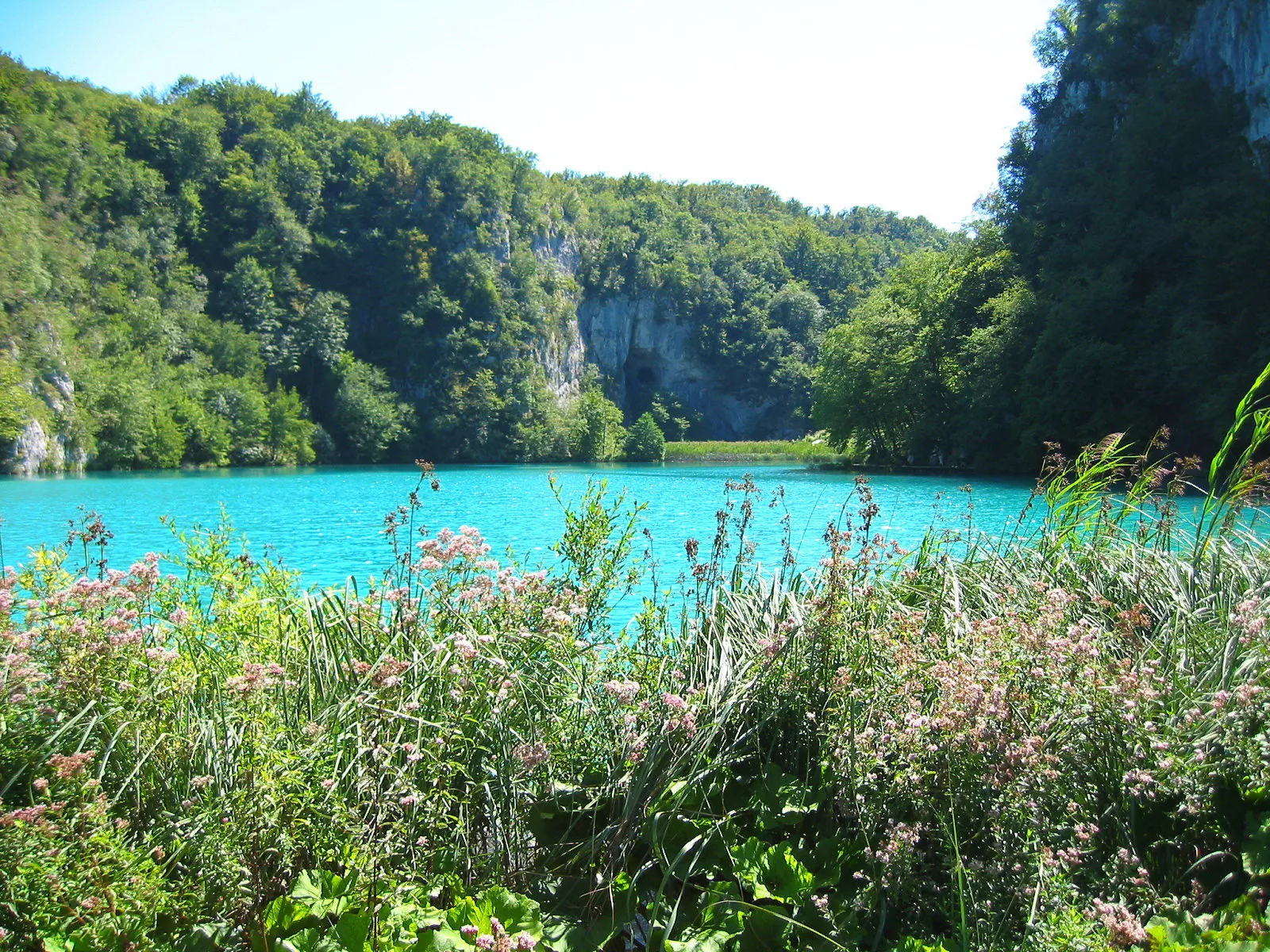 A bright turquoise lake is bordered by steep, tree-covered cliffs and foreground wildflowers.