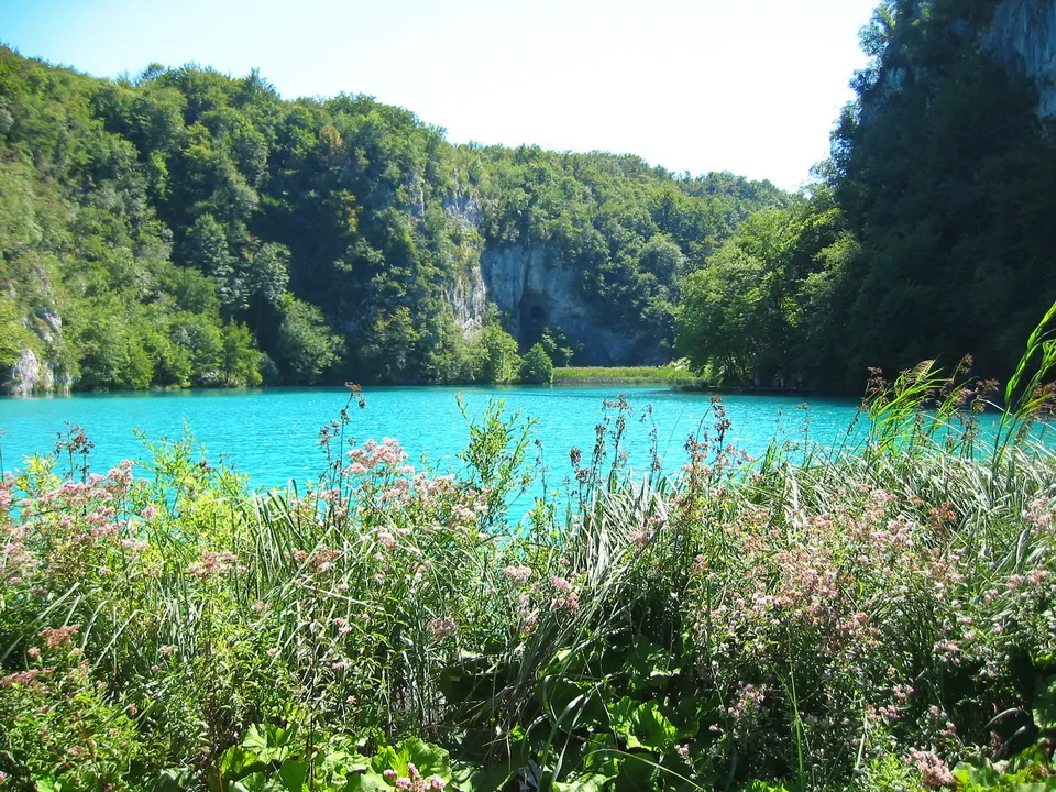 A bright turquoise lake is bordered by steep, tree-covered cliffs and foreground wildflowers.
