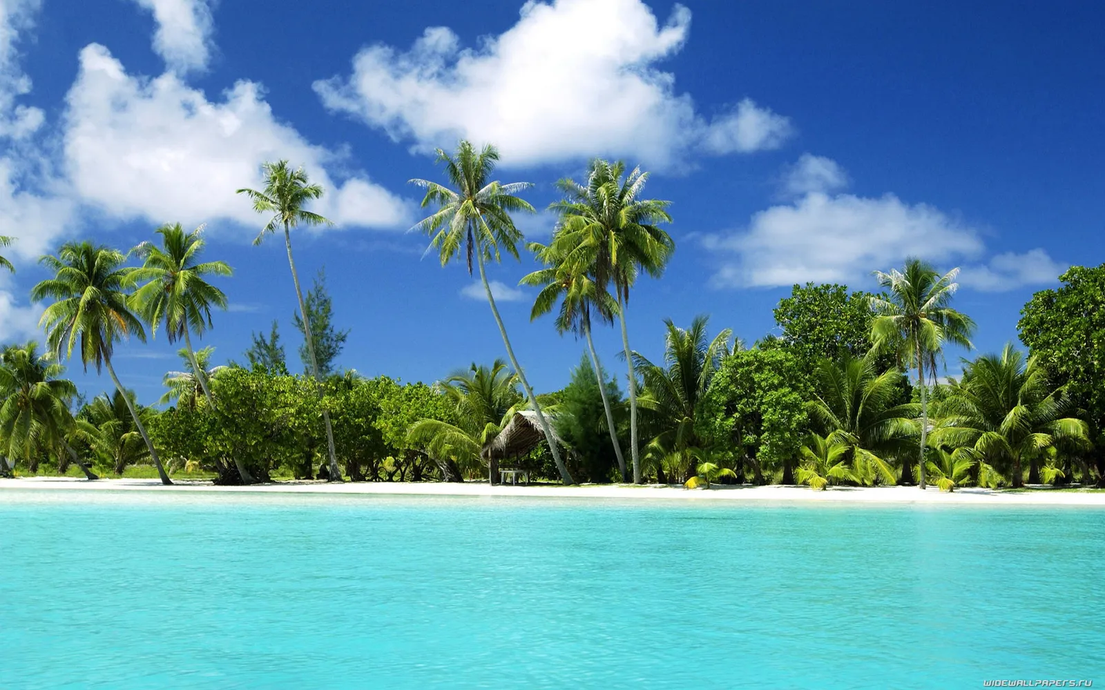 Vibrant turquoise water laps a white sand beach lined with palm trees under a blue sky with fluffy clouds.