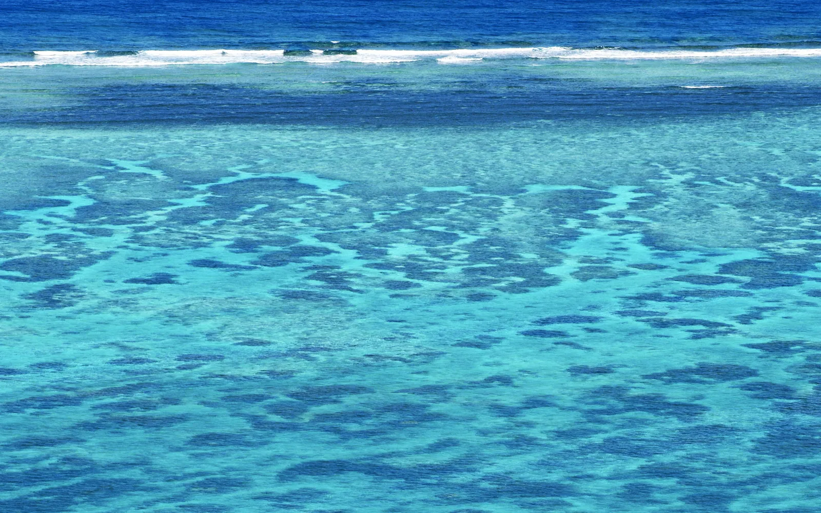 An aerial view of a vibrant coral reef visible through clear turquoise ocean water with gentle waves.