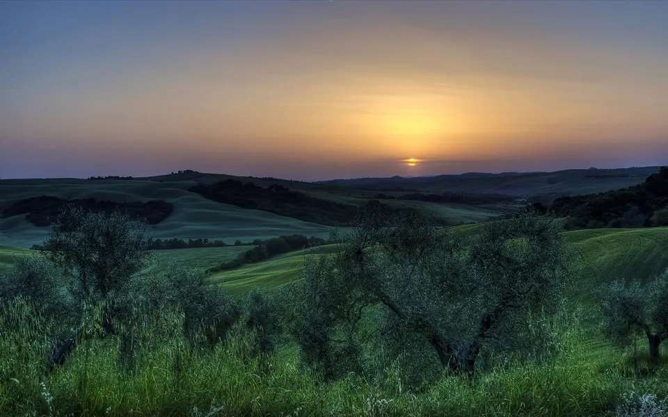 A vibrant sunset over rolling Tuscan hills, with an olive grove in the foreground.