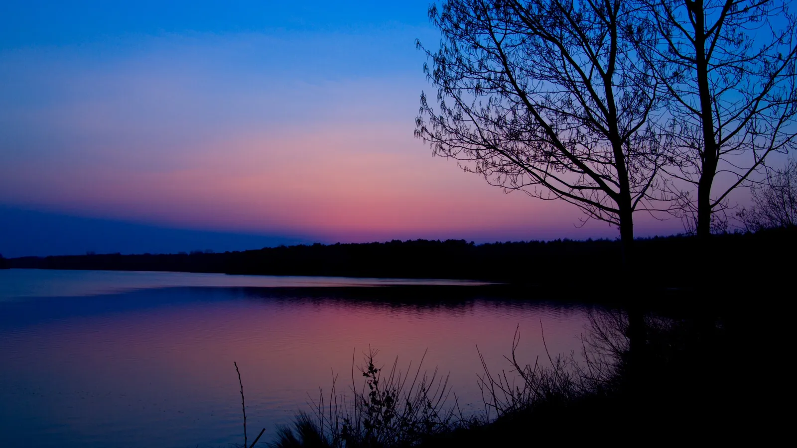 A tranquil lake reflects a vibrant purple and blue sky during twilight, with silhouetted trees on the right.