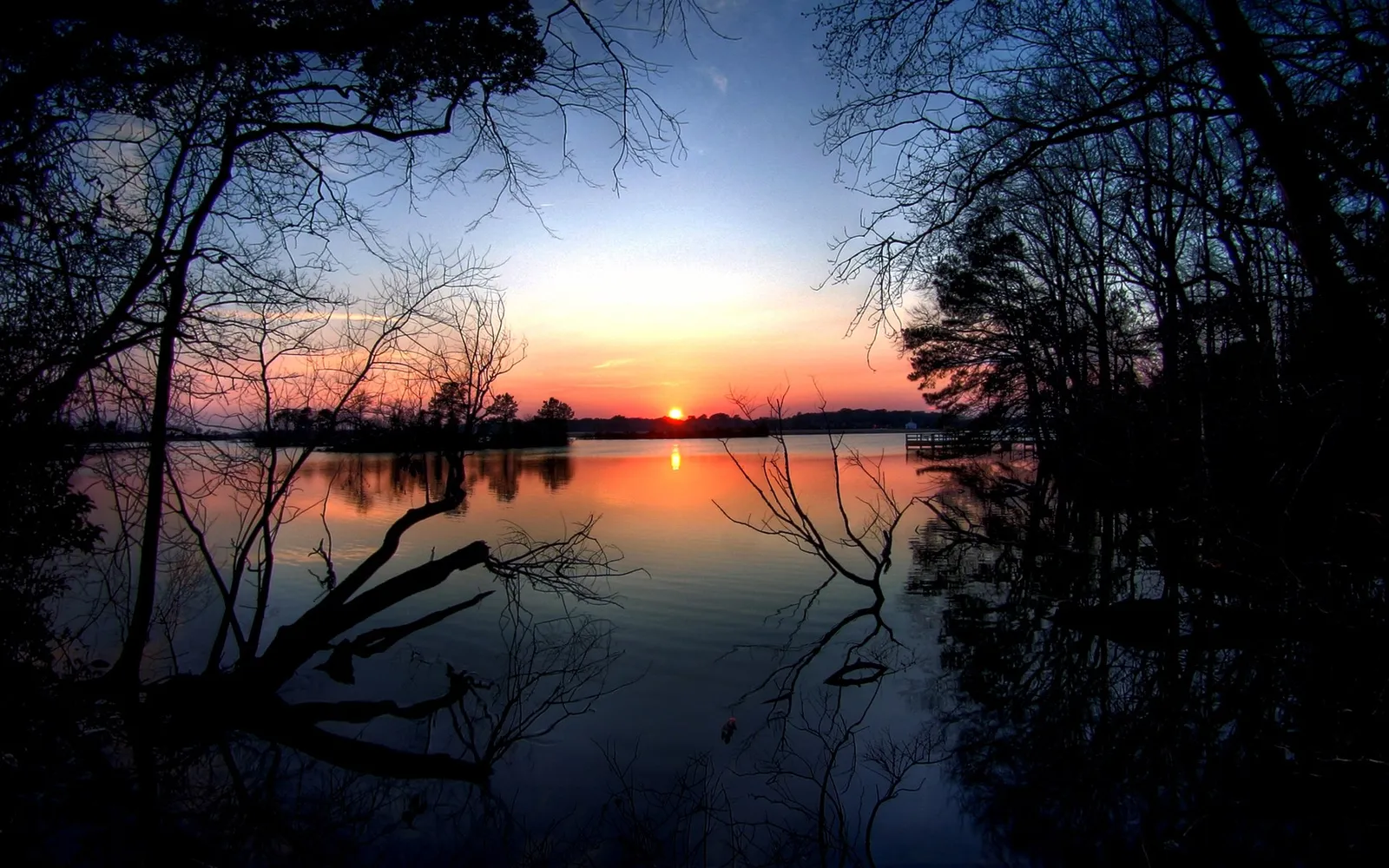 Silhouetted tree branches frame a vibrant sunset over a tranquil lake at twilight.