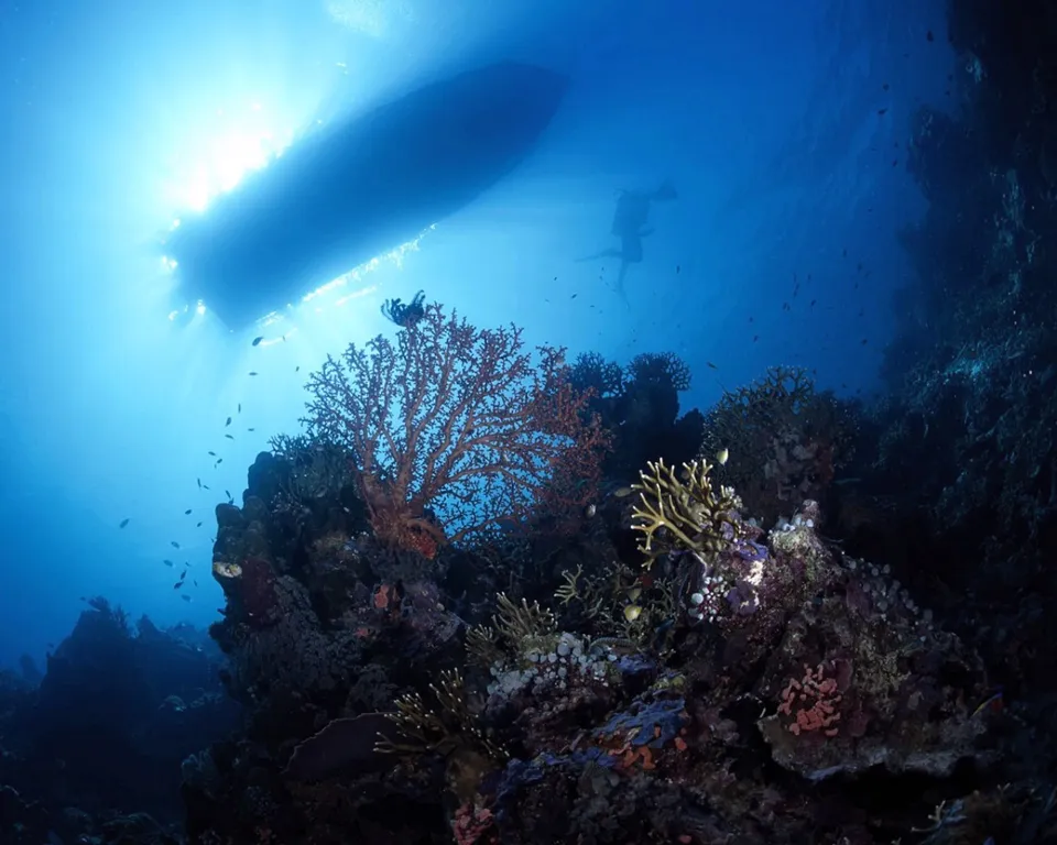 Underwater scene with a boat silhouette above, divers exploring a colorful coral reef with small fish.