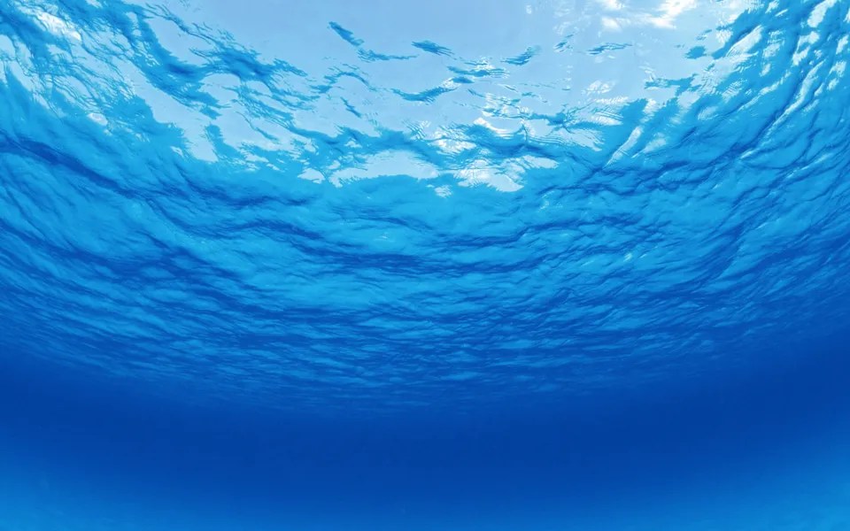View from underwater looking up at the sunlit ocean surface with rippling waves.