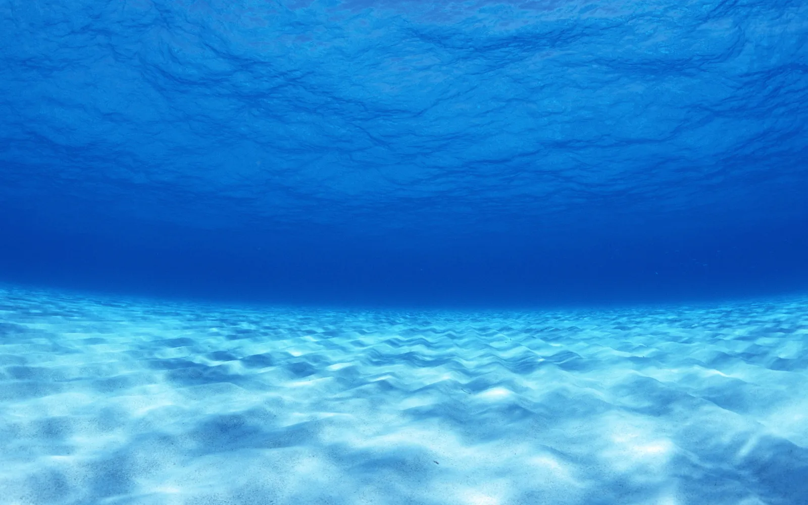 Underwater view of a sandy seabed with sunlight filtering through the blue water.