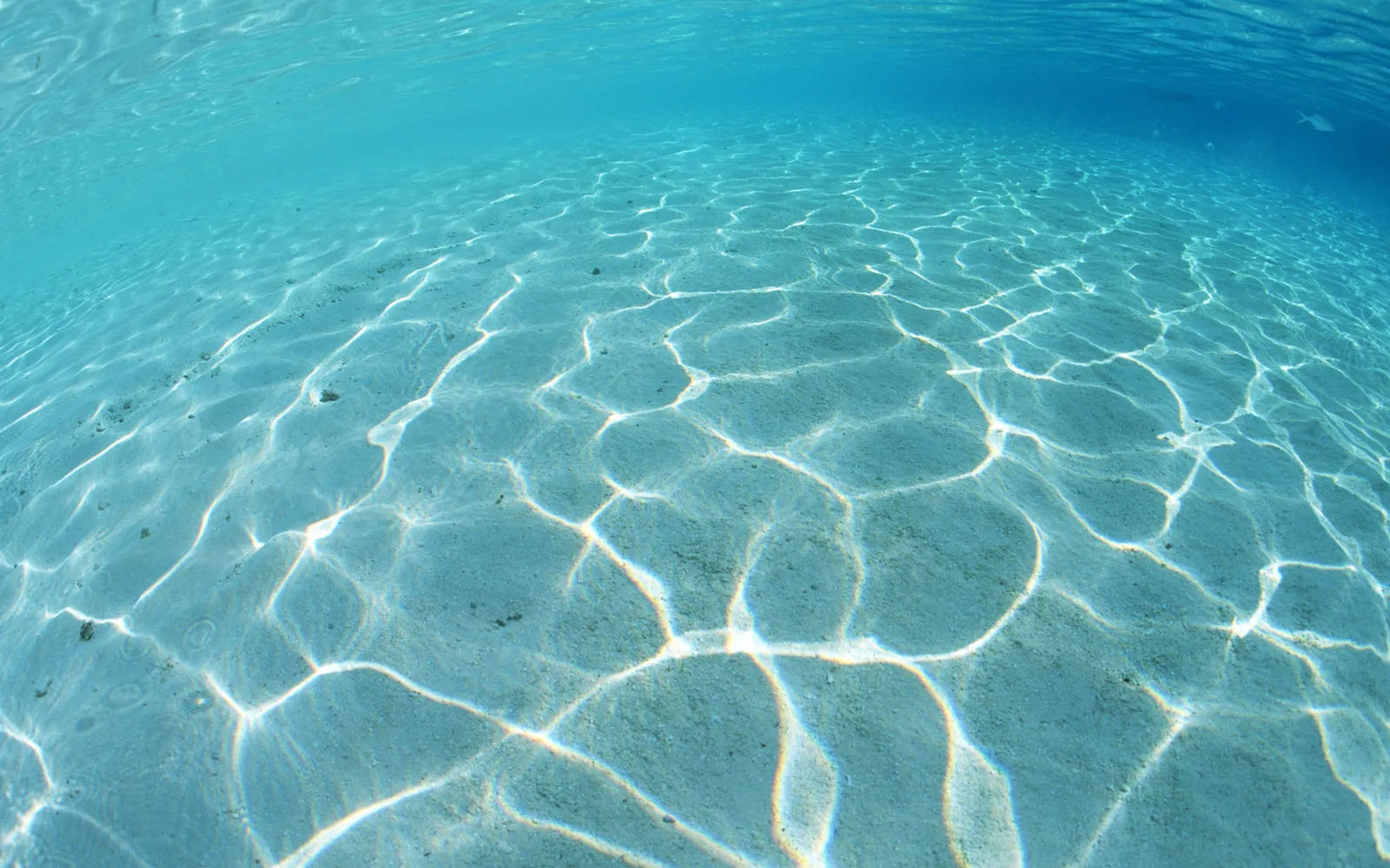 Underwater view of a sandy seabed with shimmering patterns of sunlight on the surface.