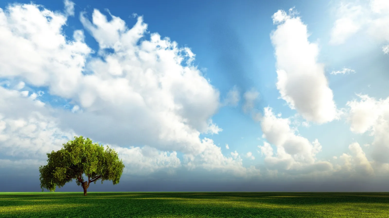 A lone green tree stands in a grassy field under a dramatic sky with sunbeams breaking through clouds.