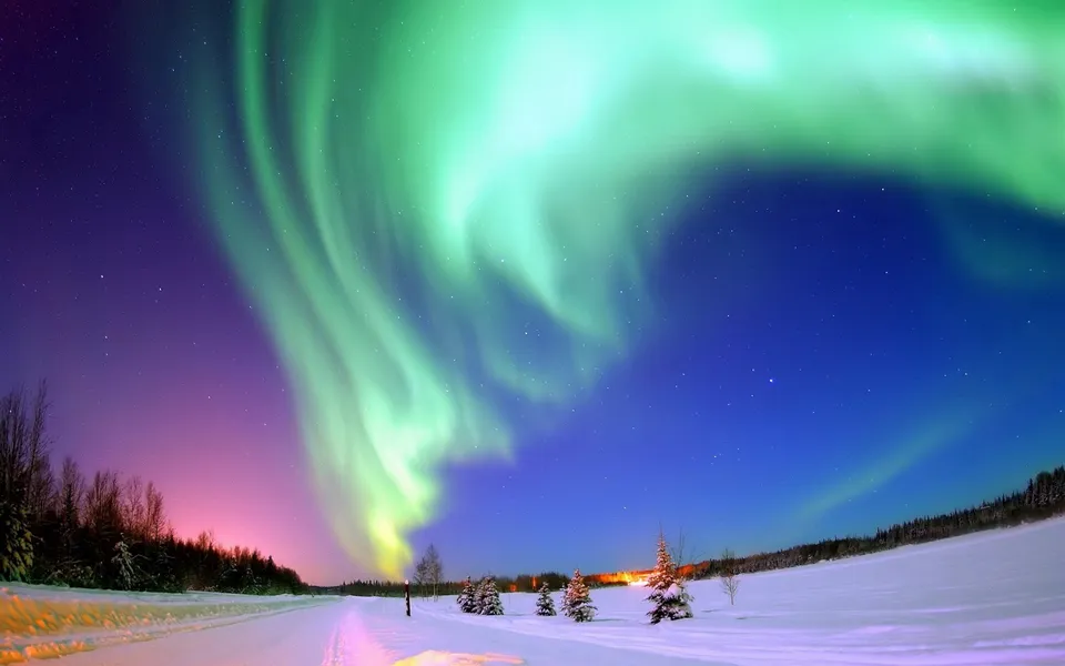 Vibrant green and purple aurora borealis illuminates a dark night sky over a snowy landscape.