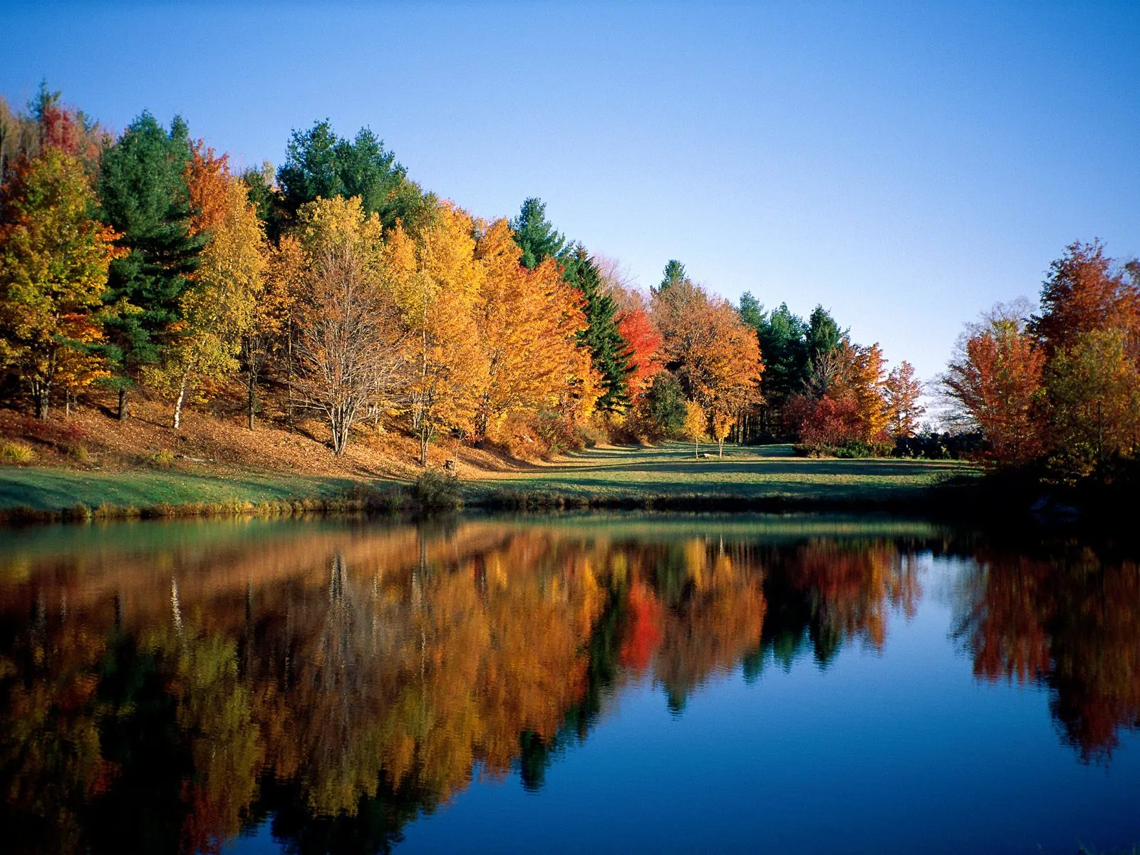 A dense forest with vibrant autumn foliage is reflected in a calm lake on a bright day.