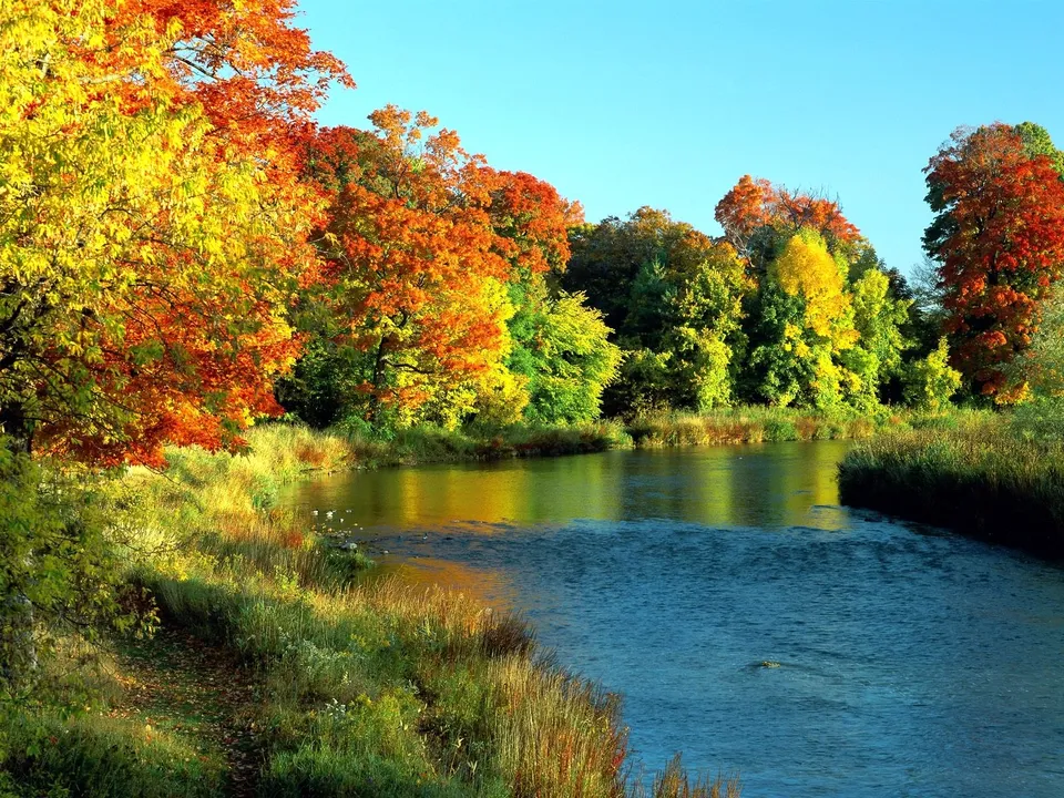 Brightly colored autumn foliage lines the banks of a gently flowing river under a clear blue sky.