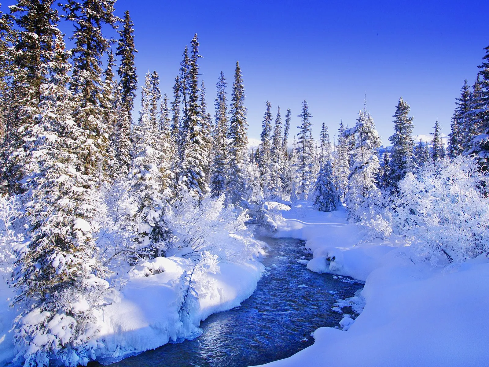 A bright blue sky above a snow-covered forest with a stream flowing through it.