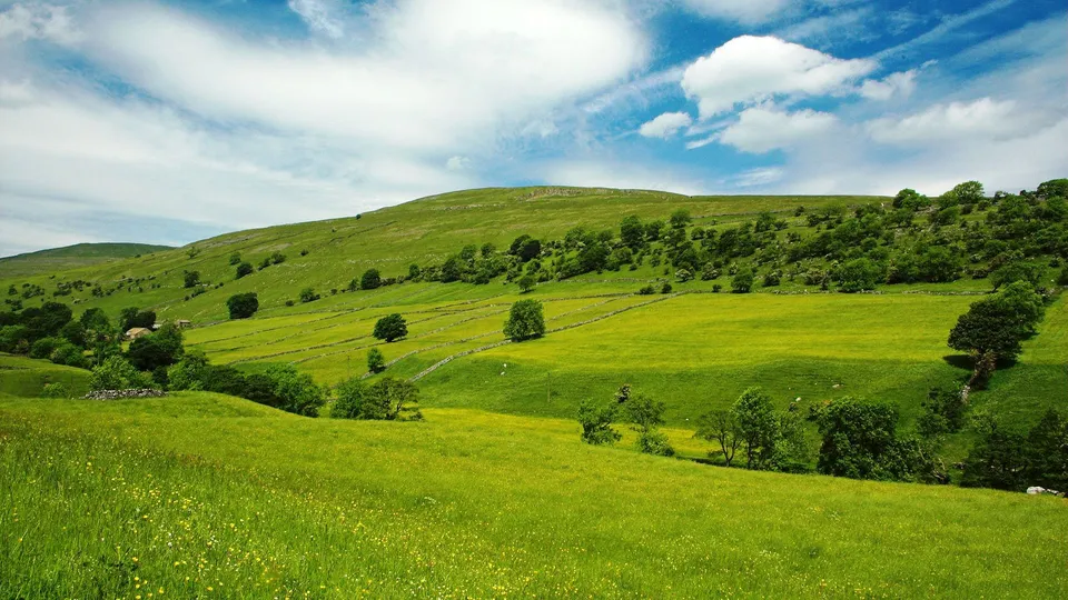 Vast green rolling hills under a bright blue sky with scattered white clouds.